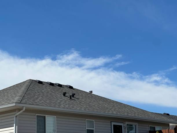 Best Gutter Replacement  in Brockport, NY